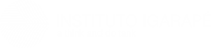 Instituto Igarapé - a think and do tank