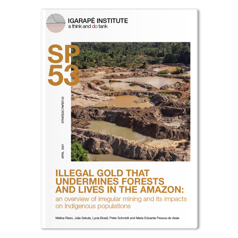Illegal Gold Mining in the Amazon Igarape Institute