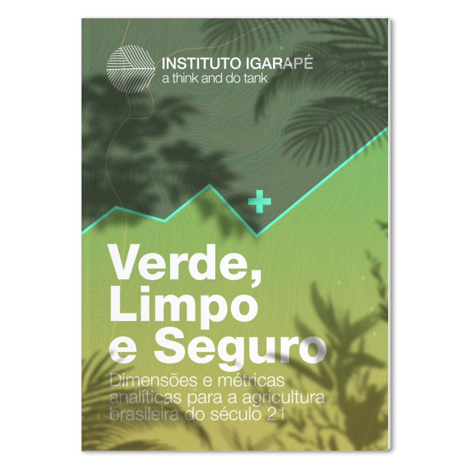 Verde, Limpo e Seguro: novas dimensões de análise e métricas para a Agricultura Brasileira no Século 21