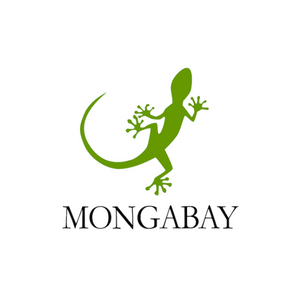 Mongabay