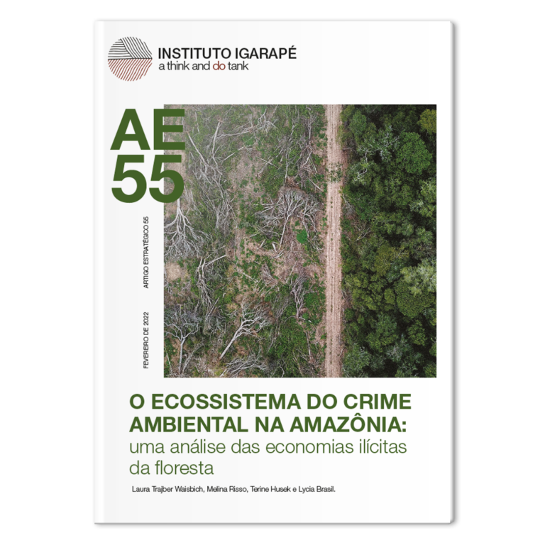 Mock-Mag-AE 55-ecossistema-do-crime-ambiental-na-amazonia