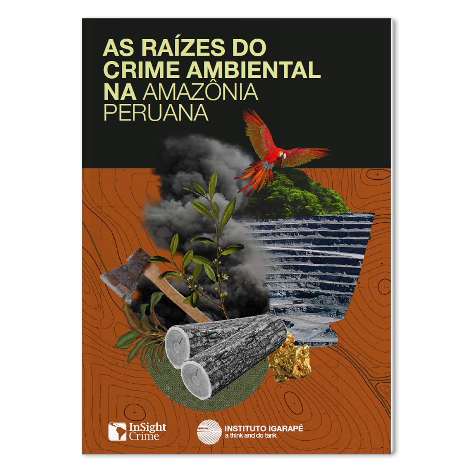 As raízes do crime ambiental na Amazônia Peruana