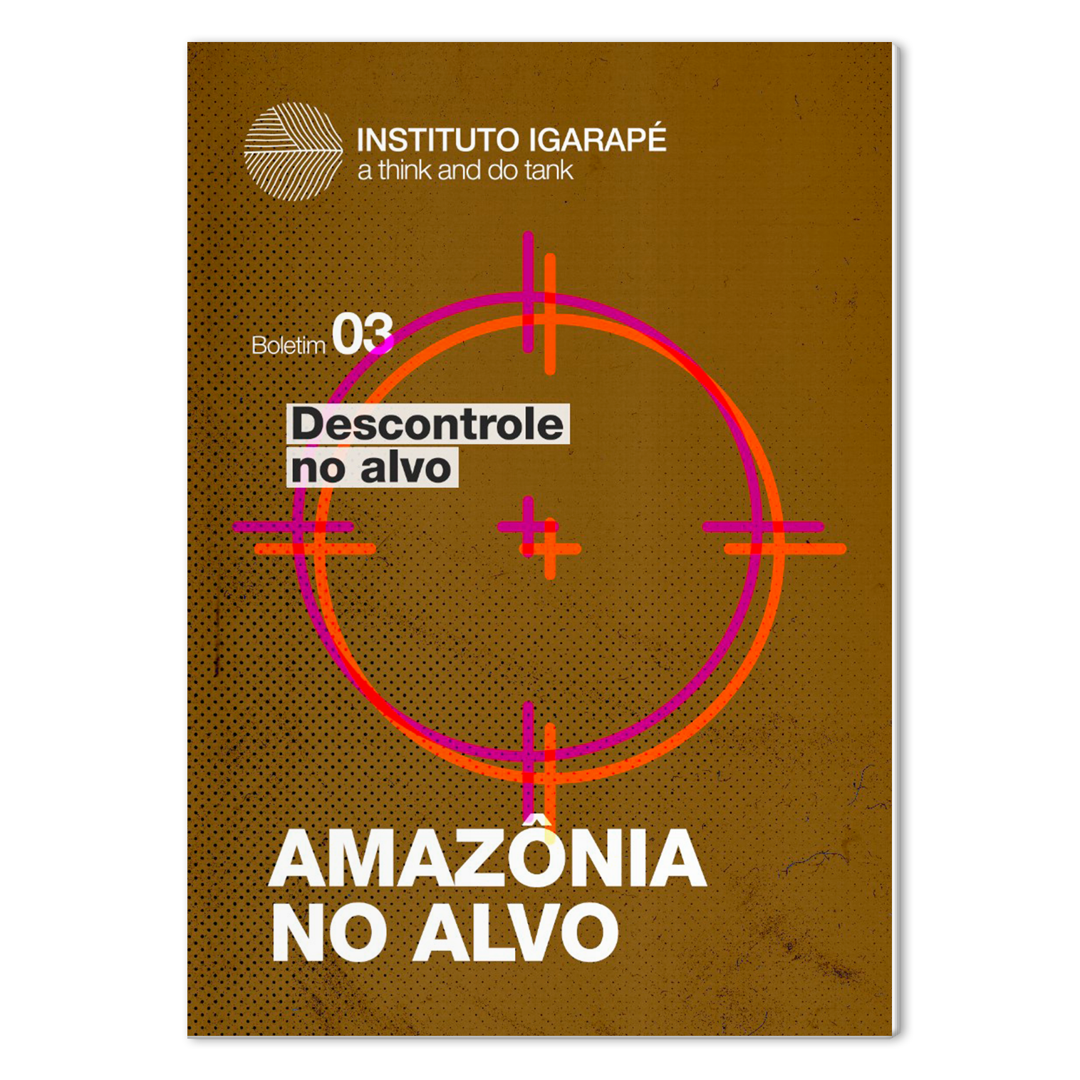 Boletim Descontrole no Alvo 03: Amazônia no Alvo