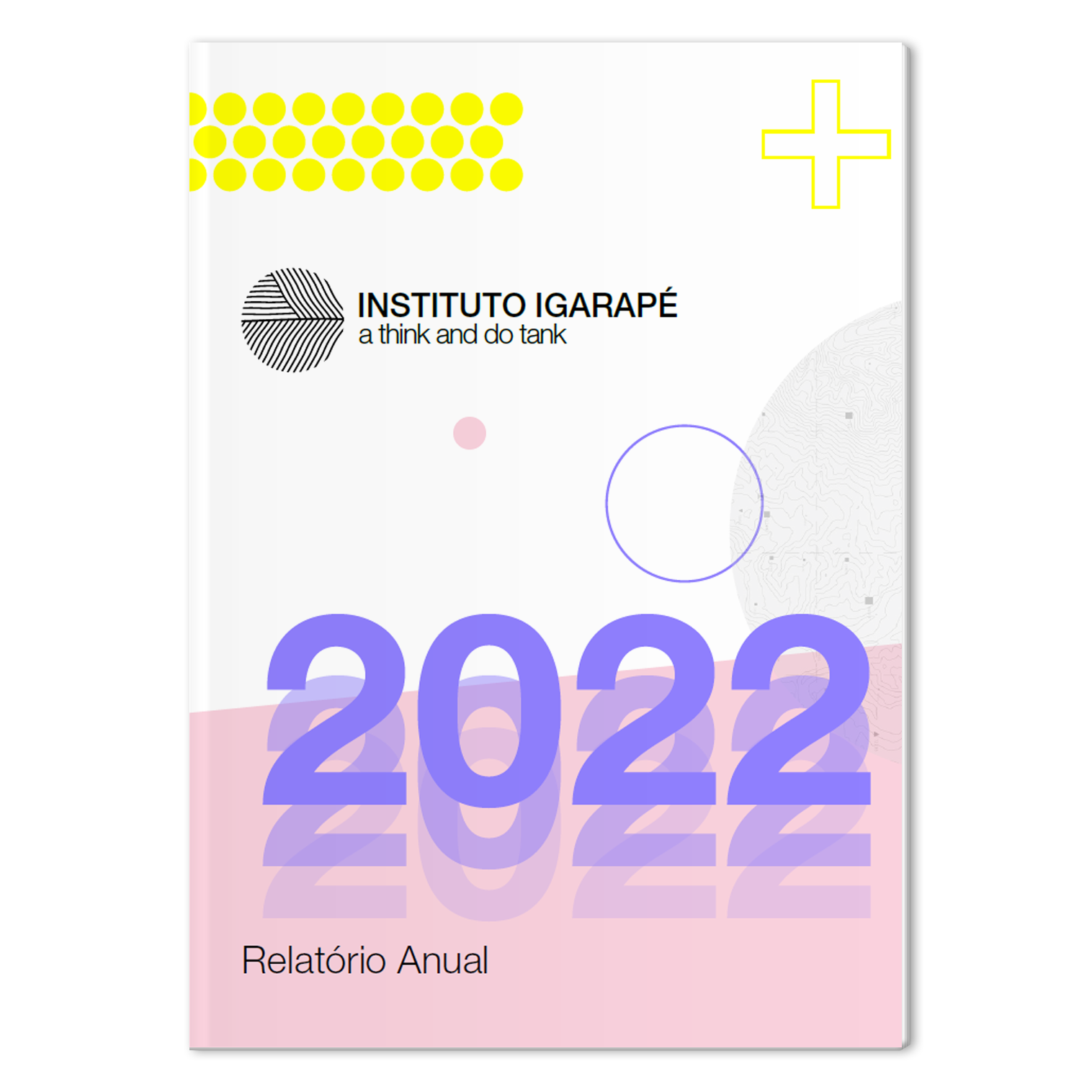 Relatório Igarapé 2022