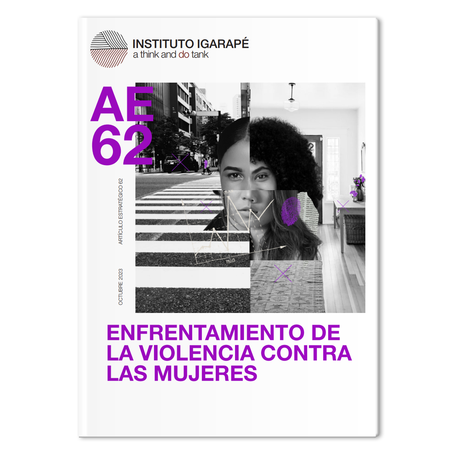 Enfrentamiento De La Violencia Contra Las Mujeres Instituto Igarapé 6513