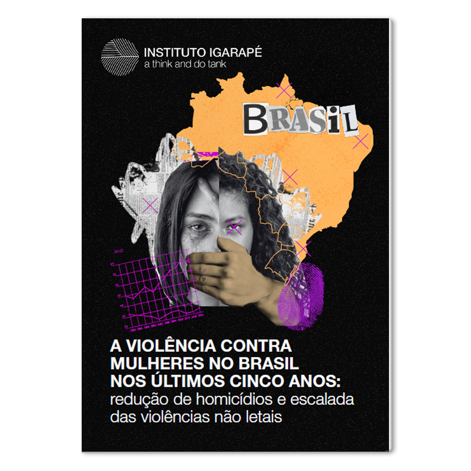A Violência Contra Mulheres No Brasil Nos últimos Cinco Anos Instituto Igarapé