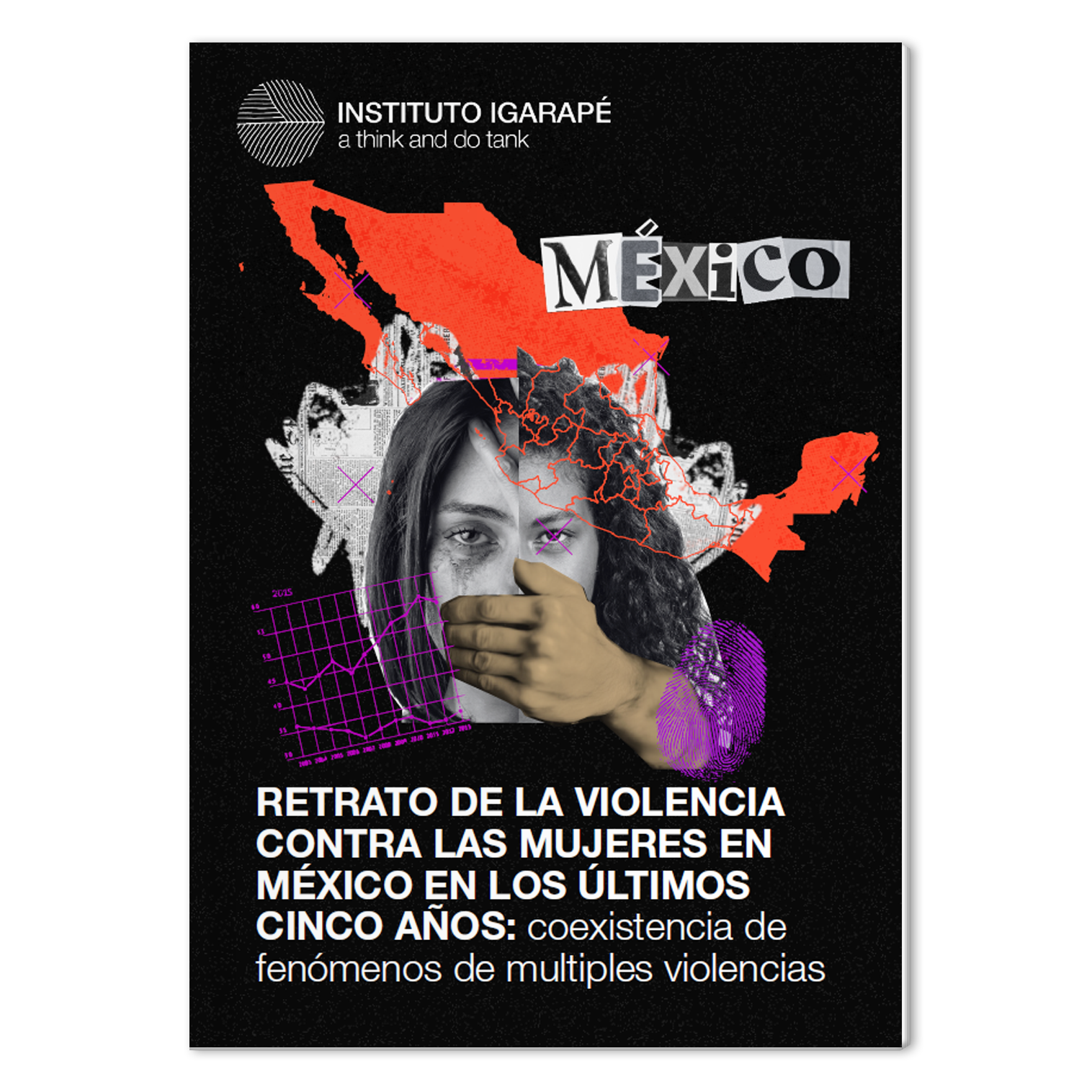 Retrato De La Violencia Contra Las Mujeres En México En Los últimos Cinco Años Instituto Igarapé 0969