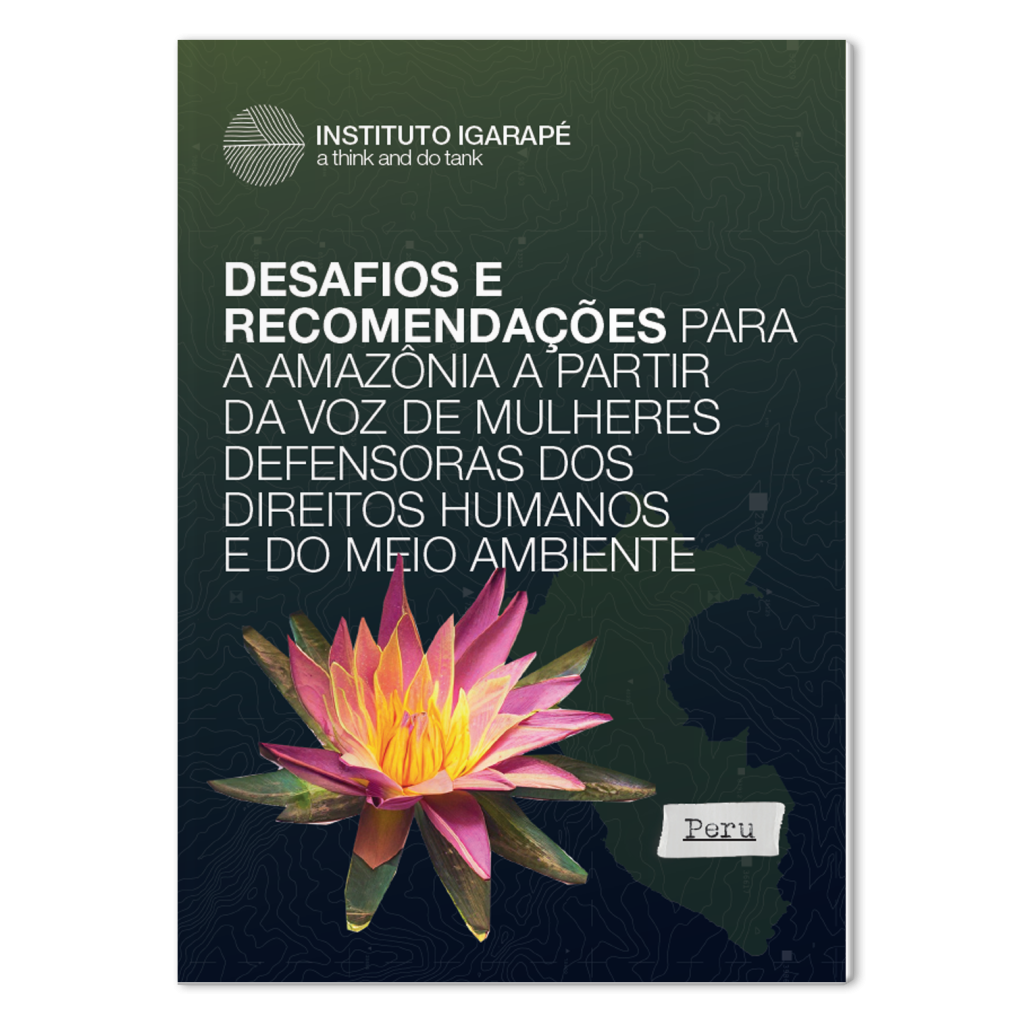 Desafios e recomendações para a Amazônia – Peru