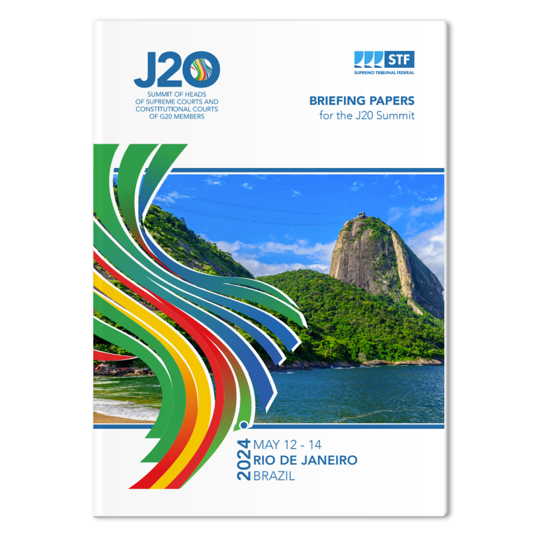 Mock-J20-Summit-Briefing-Papers