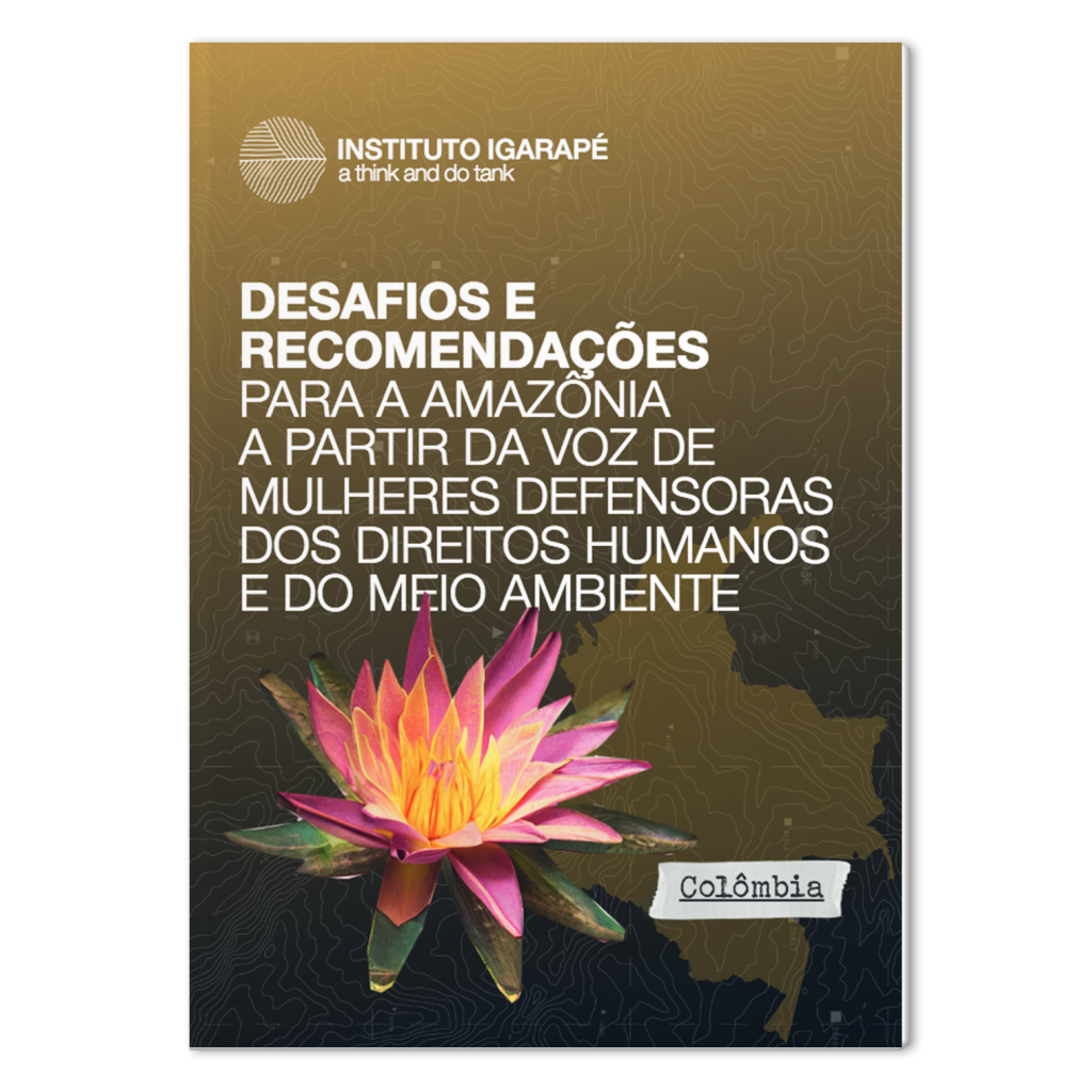 Desafios e Recomendações para a Amazônia a partir da voz de Mulheres Defensoras dos Direitos Humanos e do Meio Ambiente
