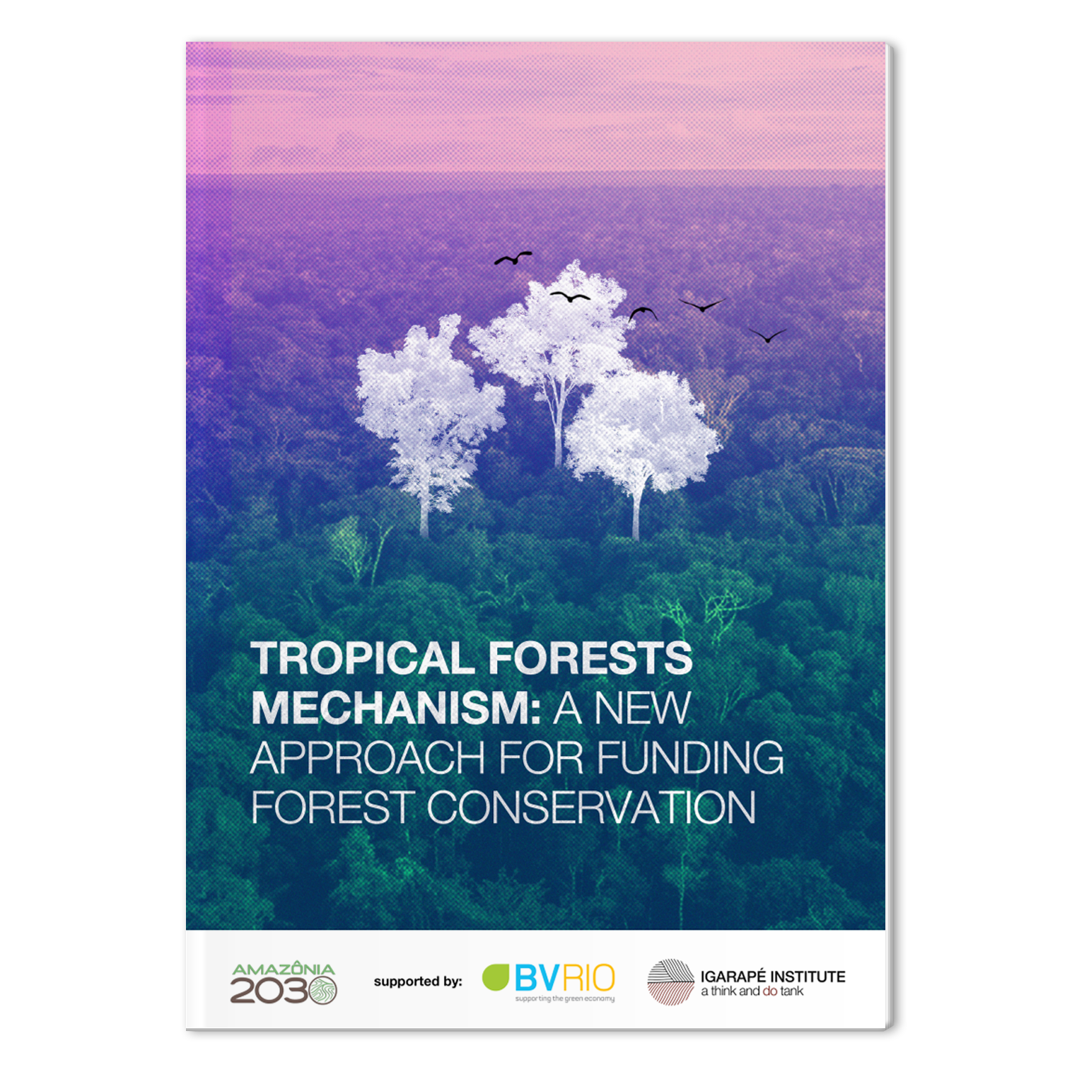Tropical Forests Mechanism