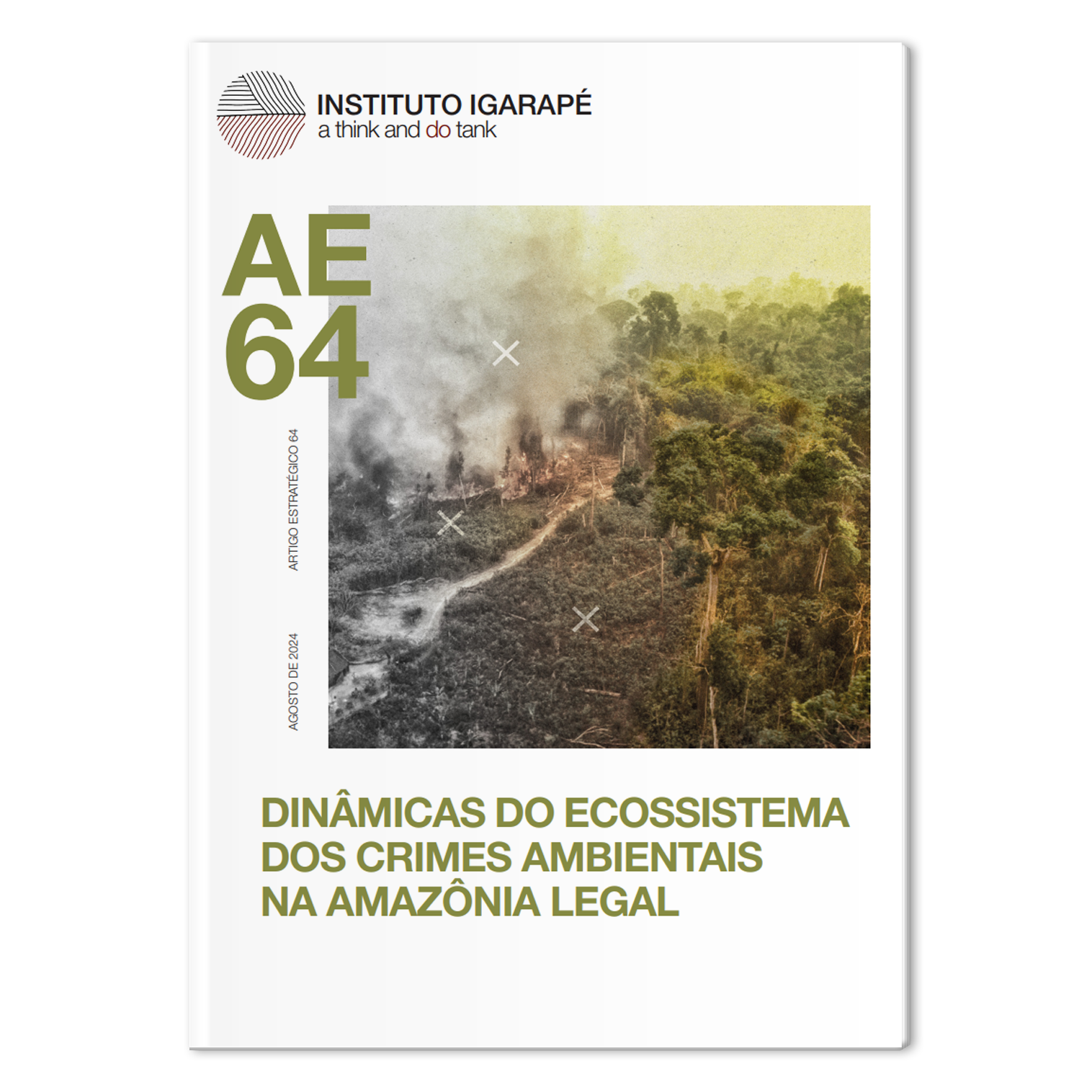 Dinâmicas crimes ambientais Amazônia Legal