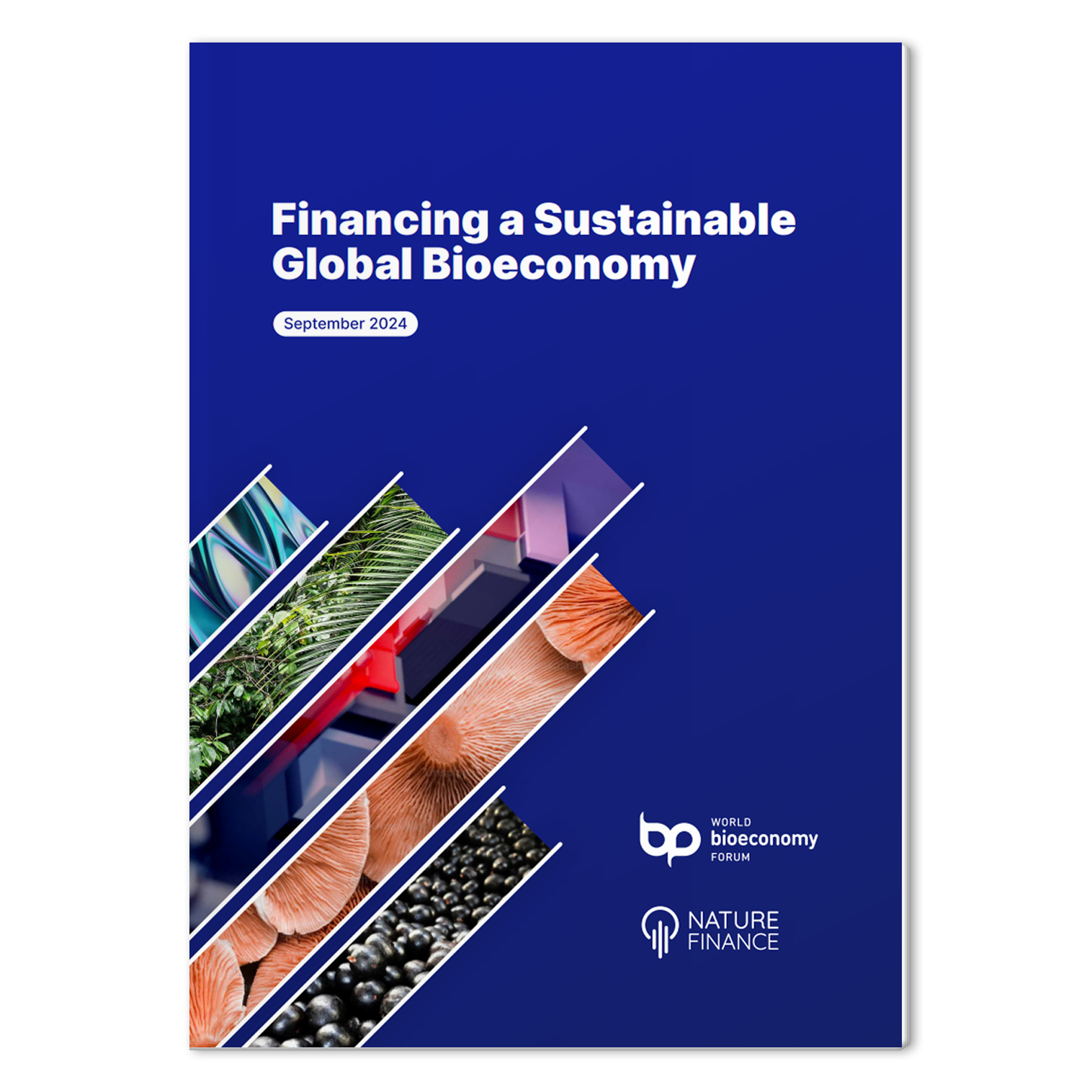 Financing a Sustainable Global Bioeconomy