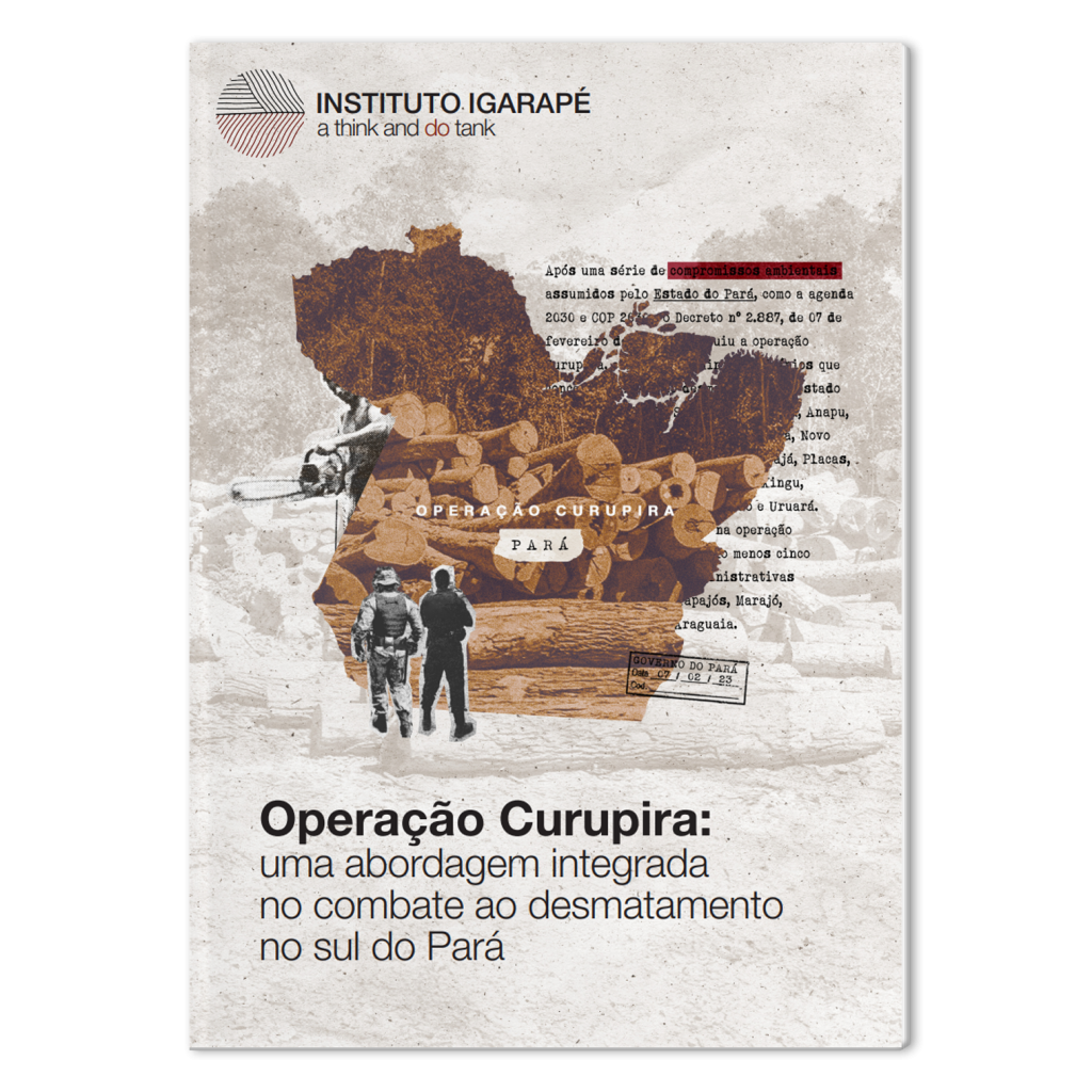 Operação Curupira: uma abordagem integrada no combate ao desmatamento no sul do Pará