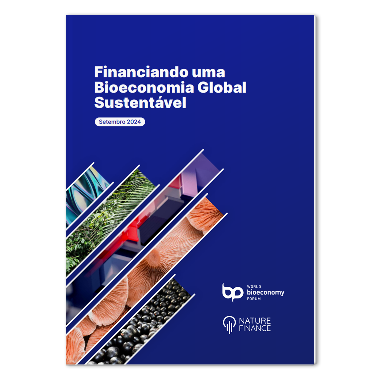 financiando uma bioeconomia global sustentavel