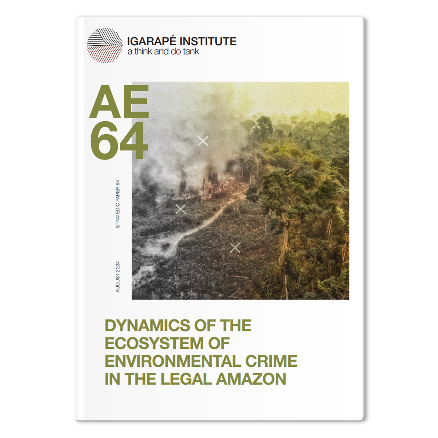 Dynamics Environmental Crimes Amazon