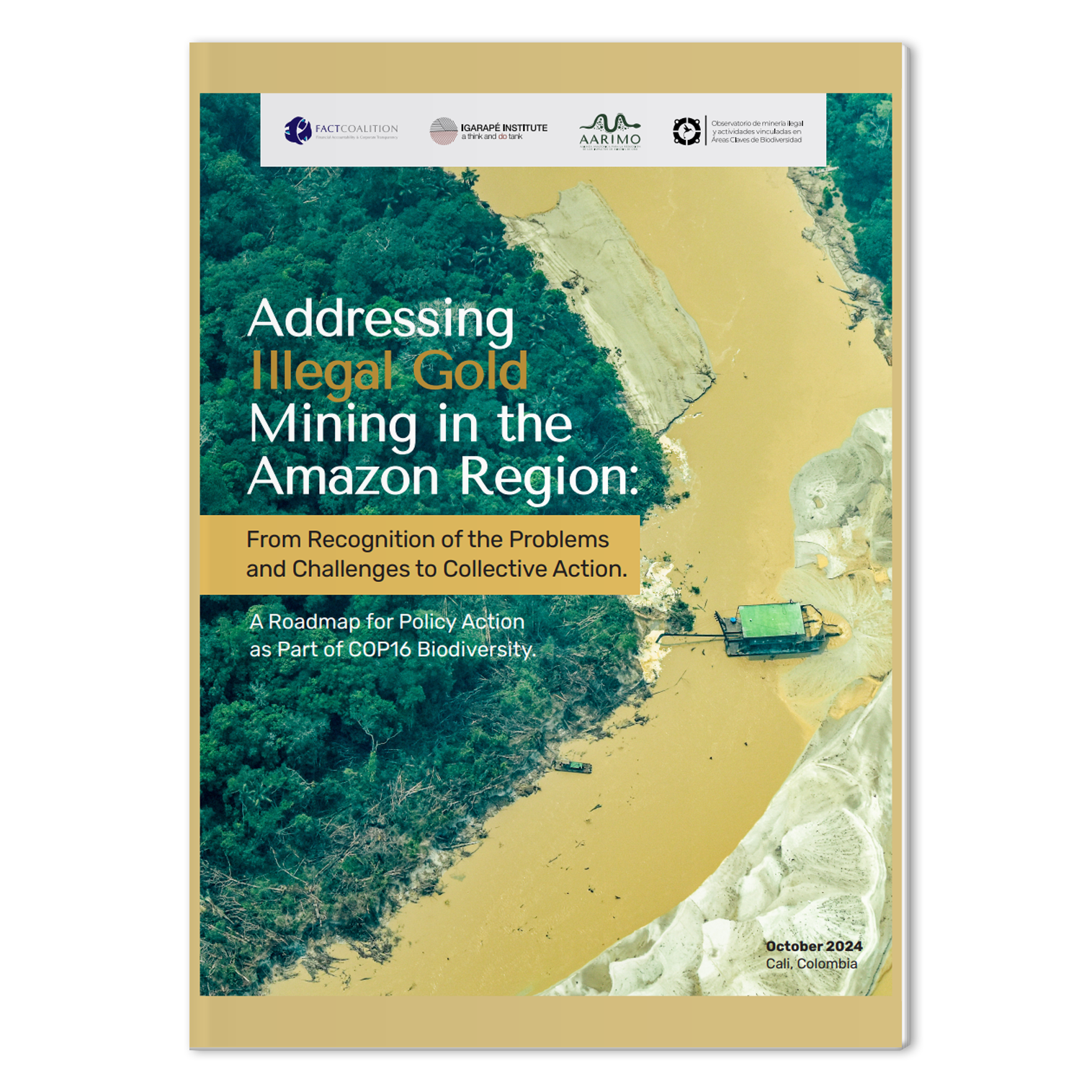 Illegal Gold Mining Amazon Region