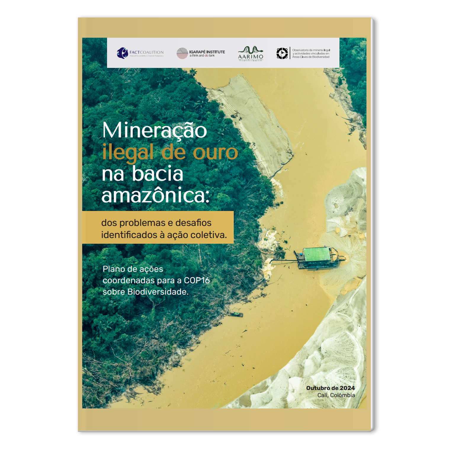 Mineração ilegal de ouro Amazônia