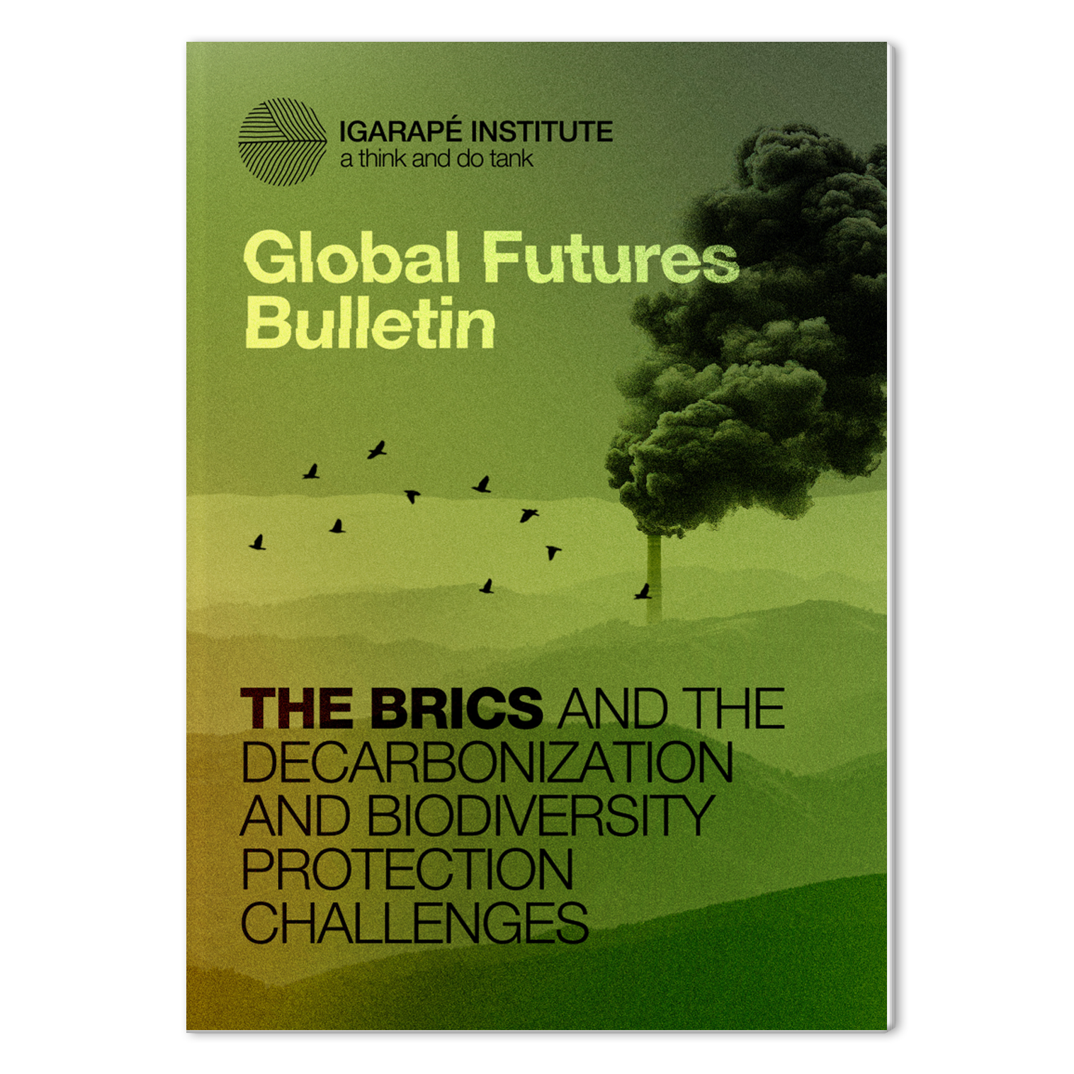 BRICS decarbonization protection biodiversity