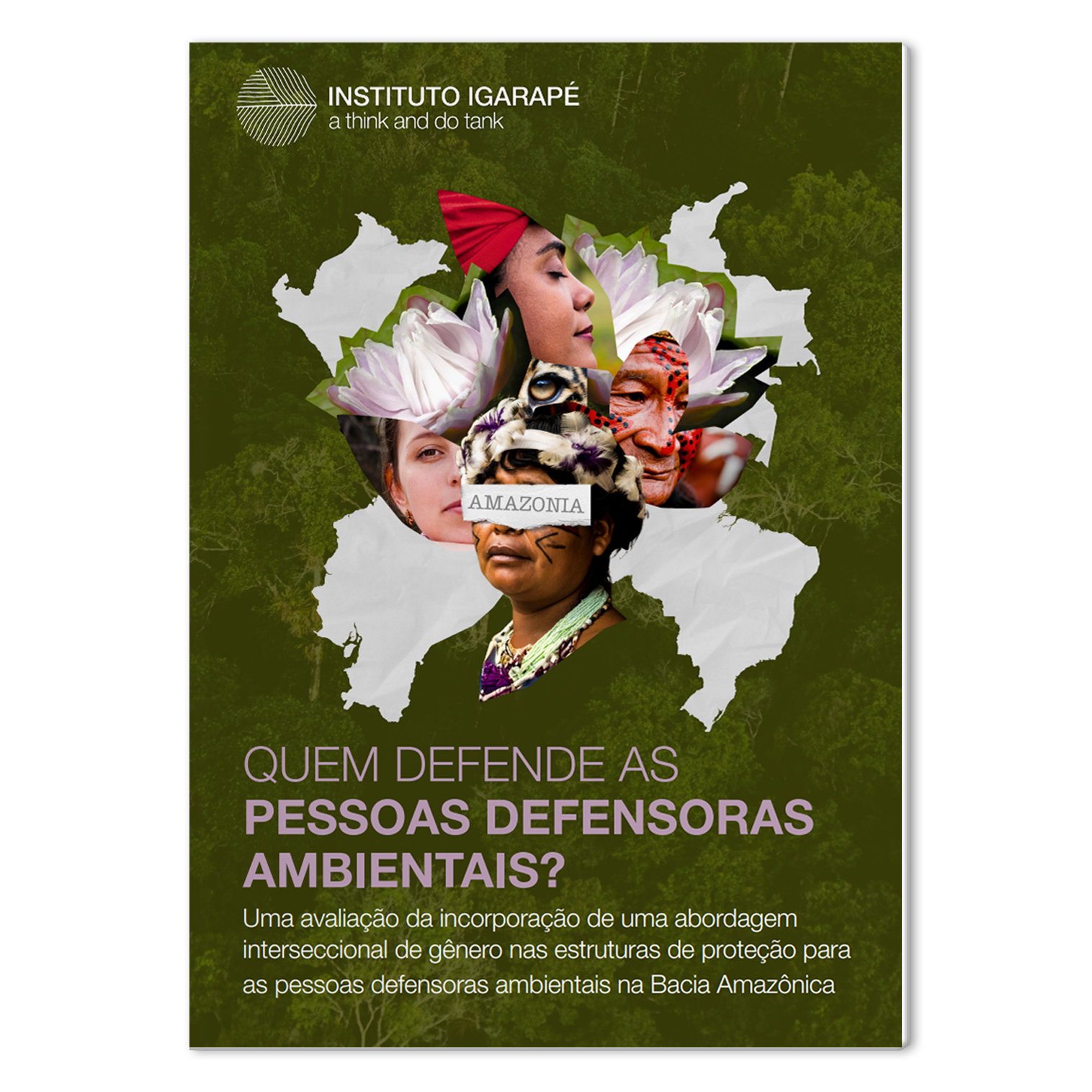 pessoas defensoras ambientais amazônia