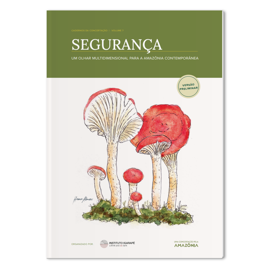 Segurança: um olhar multidimensional para a Amazônia contemporânea