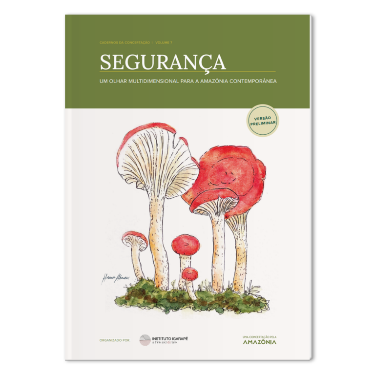 Mock-Seguranca-um-olhar-multidimensional-para-a-amazonia-contemporanea