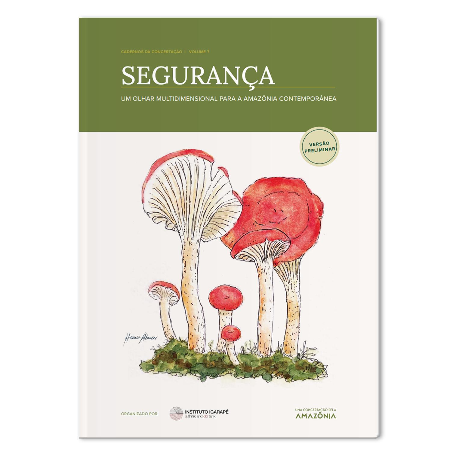 um olhar multidimensional para a Amazônia contemporânea
