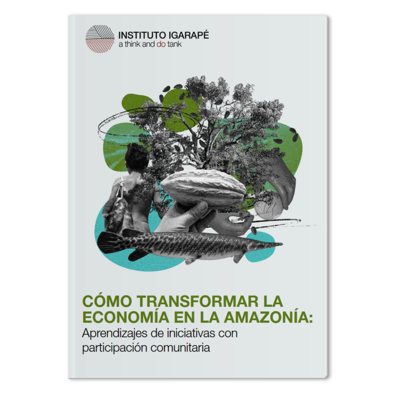 Mock-Como-transformar-a-economia-na-amazonia-ES