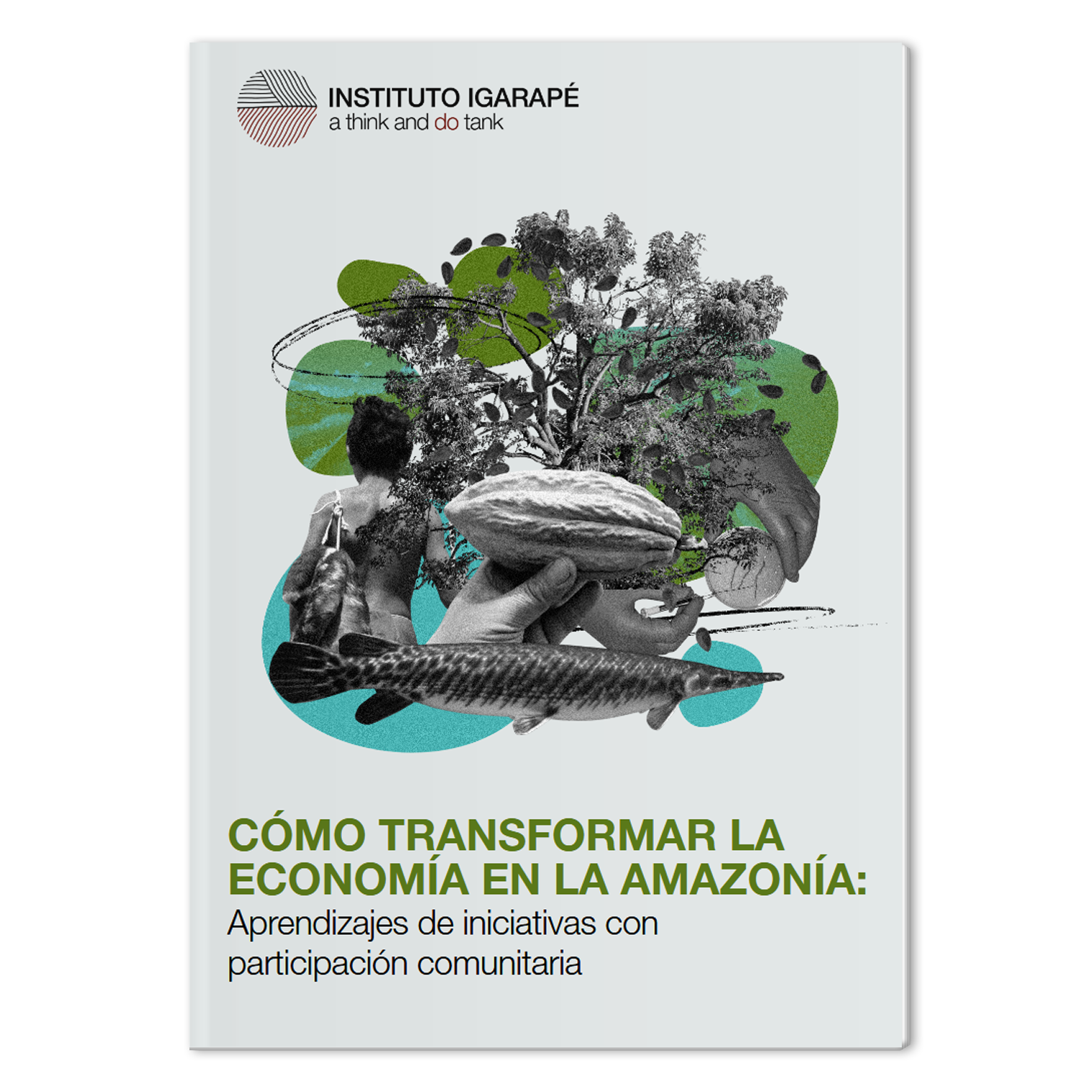 Mock-Como-transformar-a-economia-na-amazonia-ES