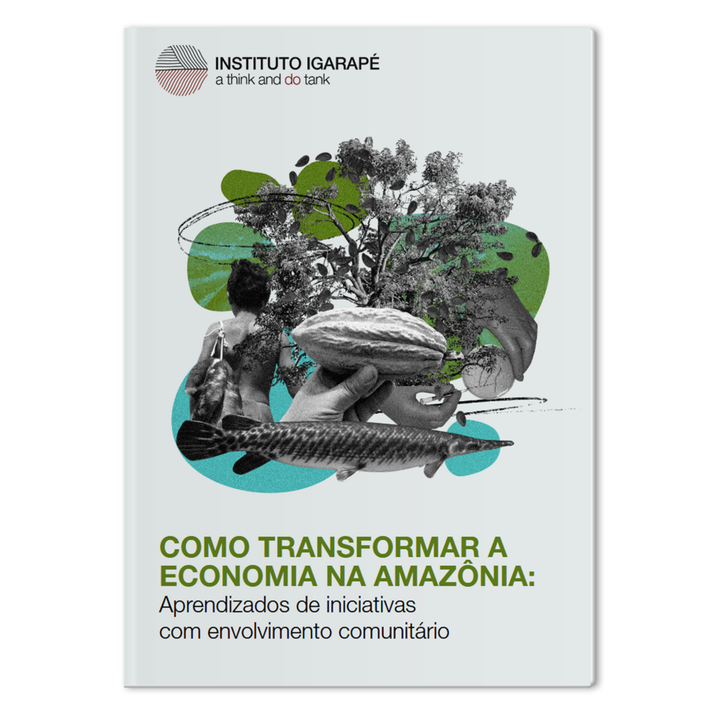 Como transformar a economia na Amazônia