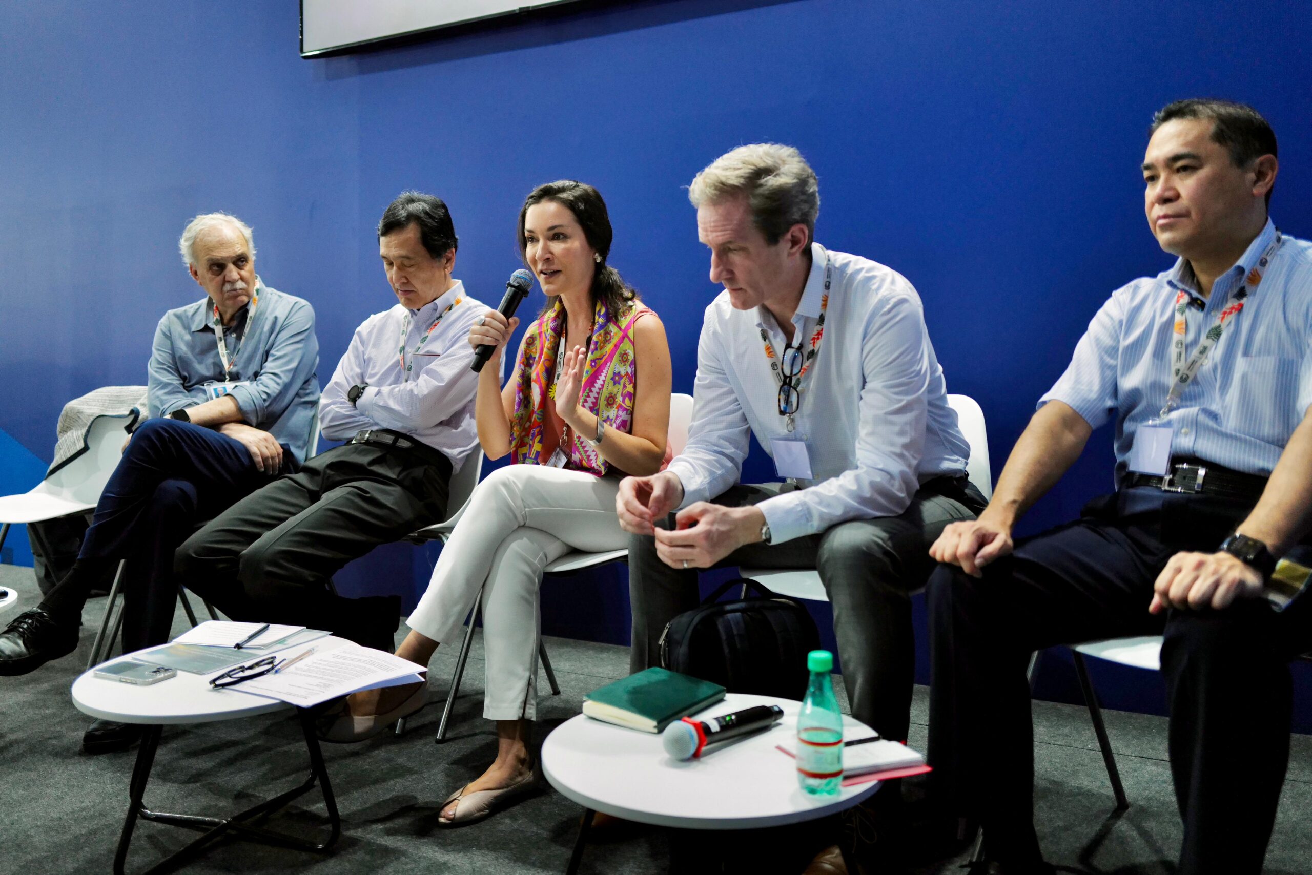 1 Nature on the Balance Sheet