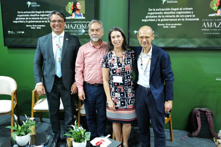 11 - Da extração ilegal ao crime organizado desafios regionais e globais da mineração de ouro para a segurança e a governança na Amazônia