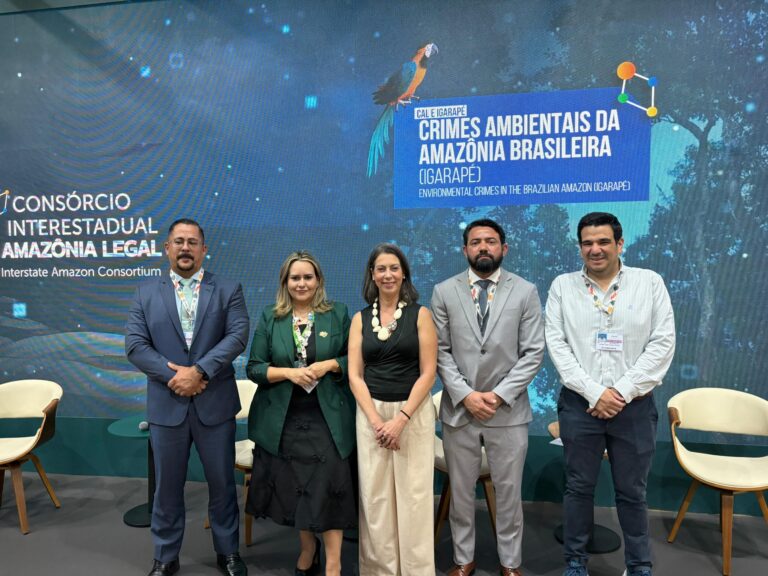 12 - Esforços Estaduais no Combate aos Crimes Ambientais na Amazônia Legal