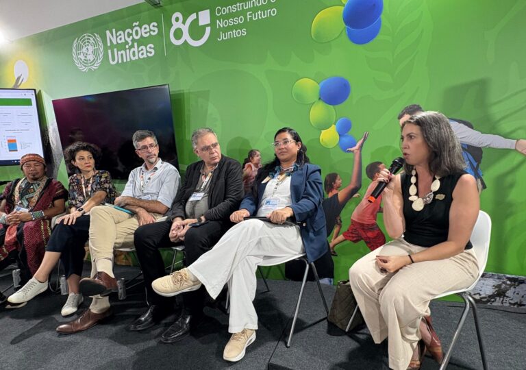 13 - Amazônia sob Pressão crime organizado vulnerabilidades socioambientais e segurança