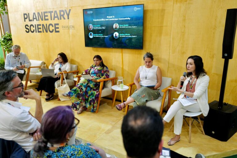 5 - The Amazon Assessment Report 2025 Connectivity of the Amazon for a Living Planet