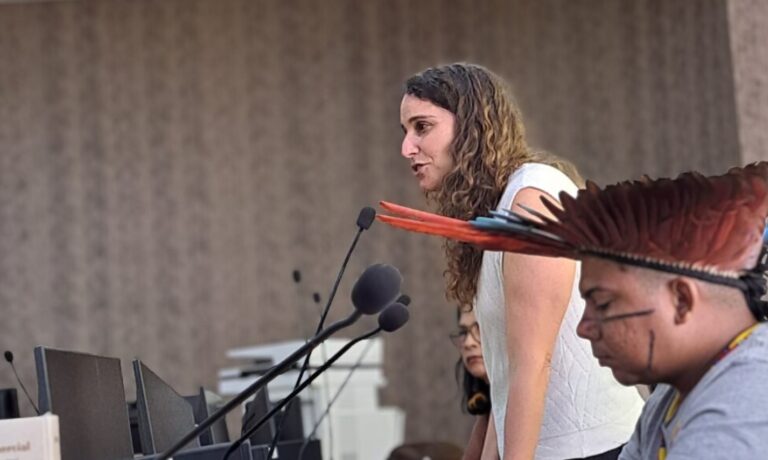 5 - Vozes das Amazônias nas COPs Ontem, Hoje e Amanhã