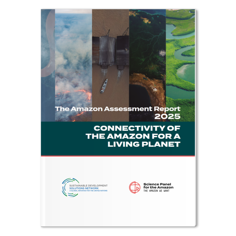 Mock-the-amazon-assessment-report-2025