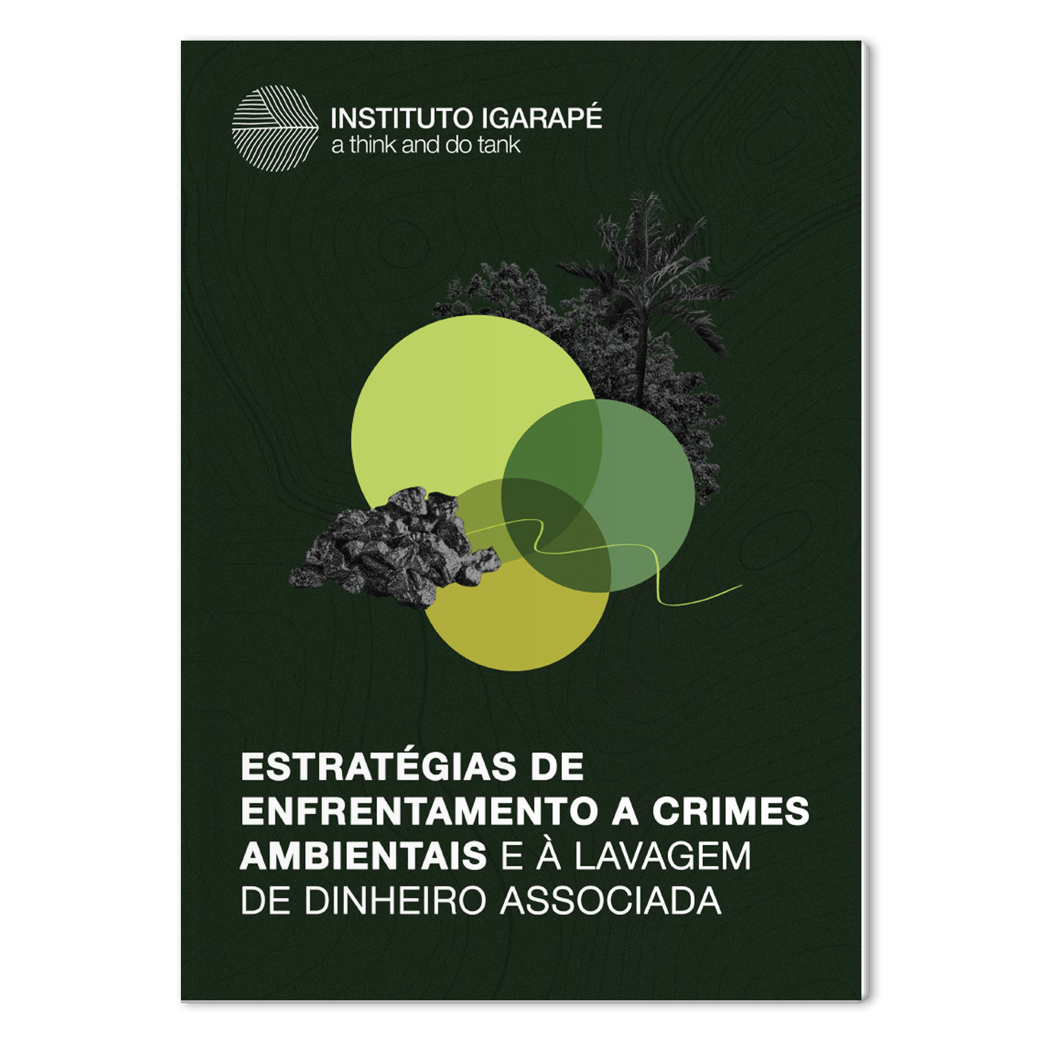 Mock-encontro-regional-crimes-ambientais