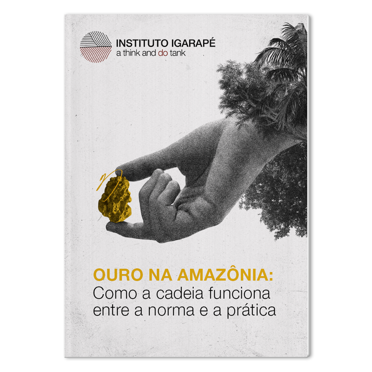 Mock-Ouro-na-Amazonia