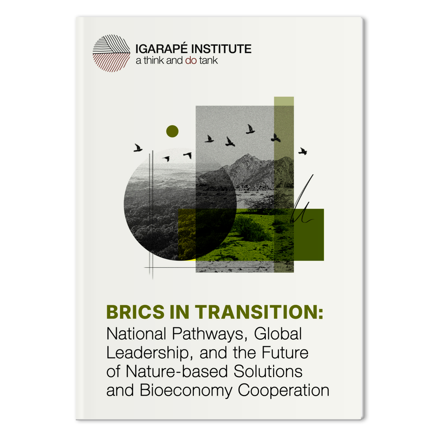 Mock-BRICs-Nature2