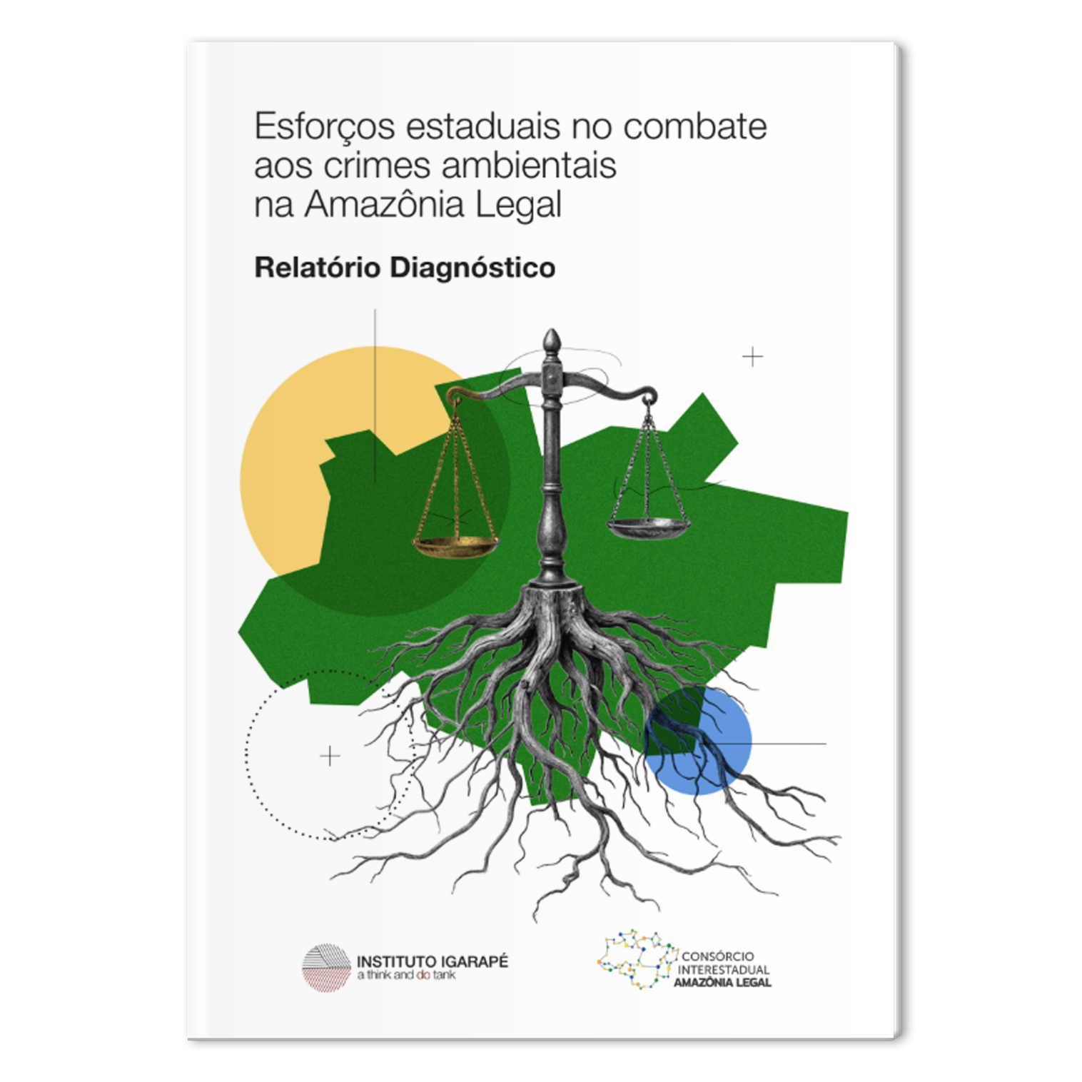 Mock-Esforcos-estaduais-crimes-ambientais-CAL