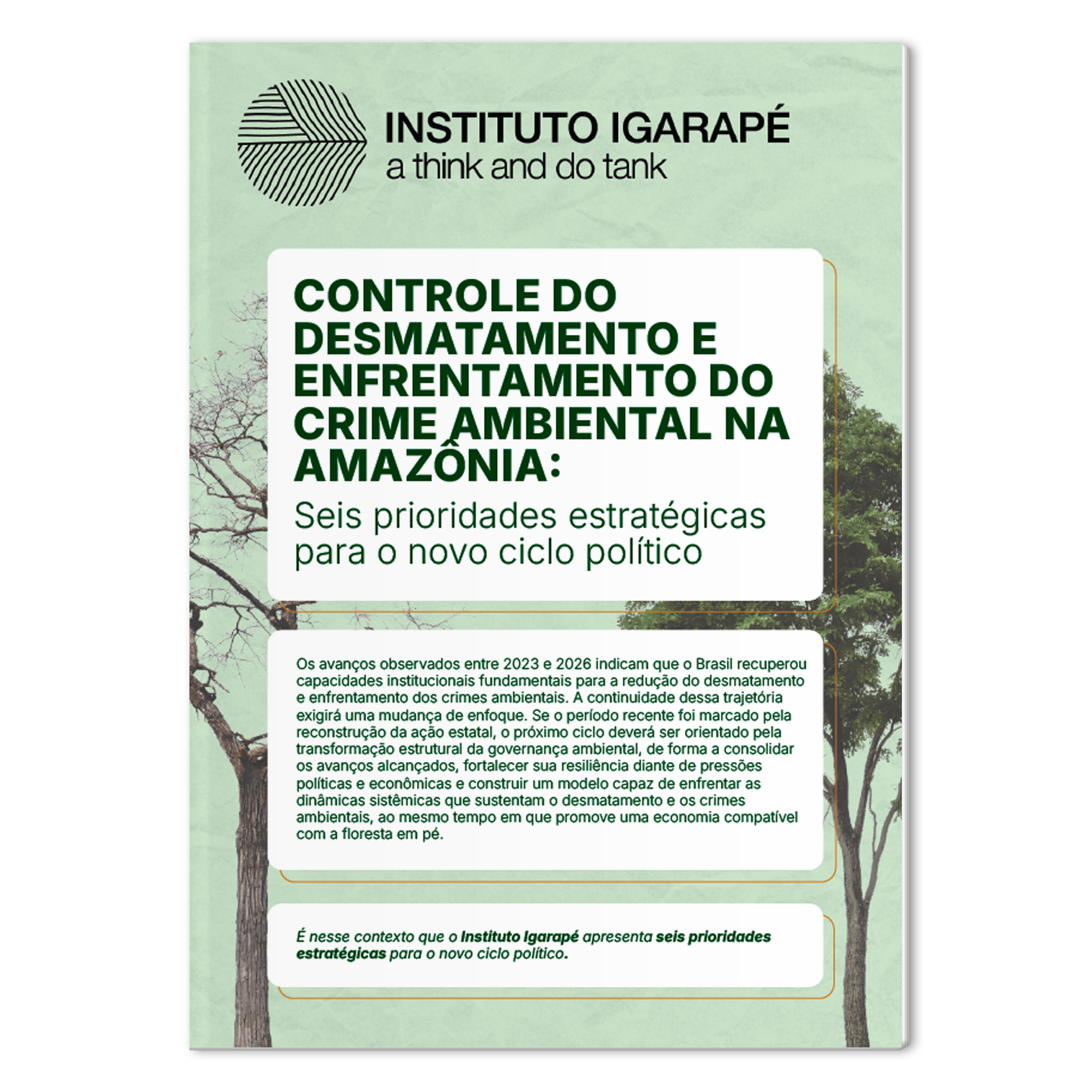 Mock-controle-desmatamento